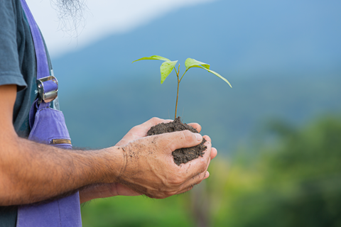 Recuperação Ambiental